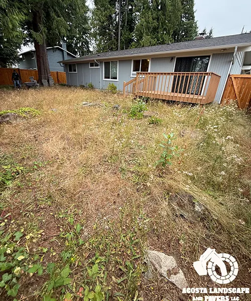 Backyard Paver & Lighting Project